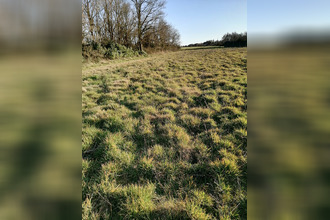 Vente Terrain 85220, Coëx France