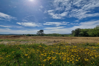 Ma-Cabane - Vente Terrain Cruviers-Lascours, 320 m²