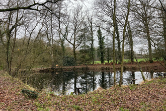 Vente Terrain 35440, DINGE France