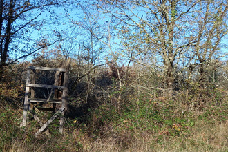 Ma-Cabane - Vente Terrain DOUADIC, 321594 m²