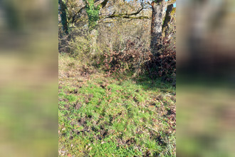 Ma-Cabane - Vente Terrain DOUADIC, 321594 m²