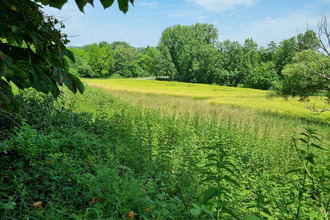 Ma-Cabane - Vente Terrain Douchapt, 3340 m²