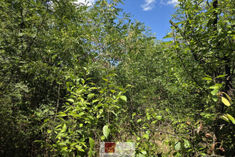 Ma-Cabane - Vente Terrain GANGES, 12625 m²