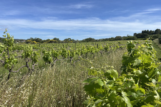 Ma-Cabane - Vente Terrain Gignac, 6590 m²