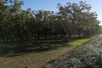 Vente Terrain 46130, Glanes France