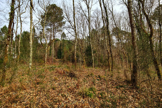 Ma-Cabane - Vente Terrain GOURBERA, 2547 m²