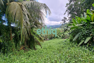 Ma-Cabane - Vente Terrain Gourbeyre, 950 m²