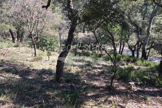 Ma-Cabane - Vente Terrain Grimaud, 7000 m²