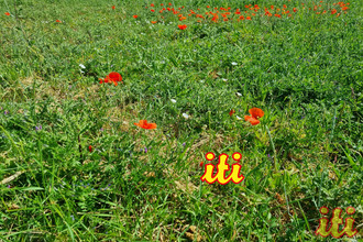 Vente Terrain 85440, Grosbreuil France