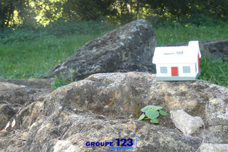 Vente Terrain 89113, Guerchy France