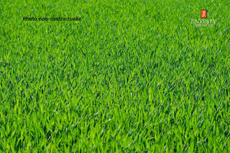 Ma-Cabane - Vente Terrain Hennebont, 563 m²