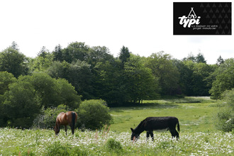 Vente Terrain 56700, Hennebont France