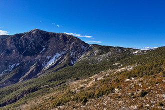 Ma-Cabane - Vente Terrain ILONSE, 32905 m²