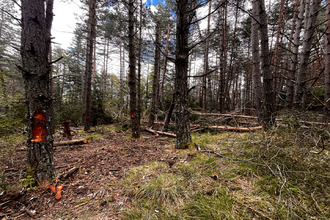 Ma-Cabane - Vente Terrain ILONSE, 32905 m²