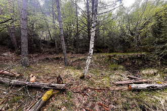 Ma-Cabane - Vente Terrain ILONSE, 32905 m²