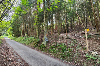 Ma-Cabane - Vente Terrain LA CHAPELLE-DU-BARD, 13589 m²