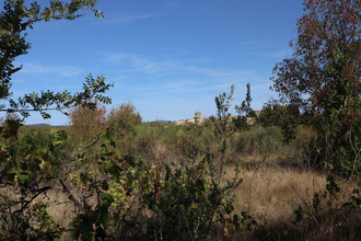 Vente Terrain 34210, LA LIVINIERE France