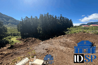 Ma-Cabane - Vente Terrain La Plaine-des-Palmistes, 1519 m²