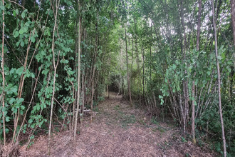 Ma-Cabane - Vente Terrain La Selle-en-Hermoy, 2239 m²