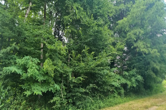 Ma-Cabane - Vente Terrain La Selle-en-Hermoy, 2239 m²