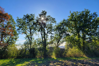 Ma-Cabane - Vente Terrain Labège, 500 m²