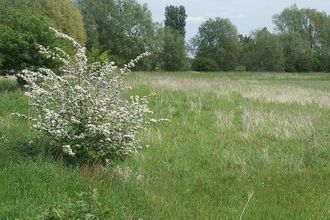 Ma-Cabane - Vente Terrain LATRESNE, 1303 m²