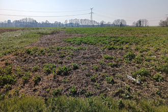 Vente Terrain 60790, LE DELUGE France