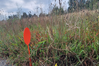 Vente Terrain 85800, LE FENOUILLER France