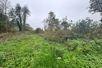 Ma-Cabane - Vente Terrain LE GENEST-SAINT-ISLE, 10000 m²