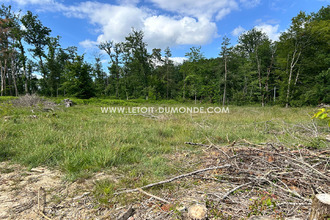 Vente Terrain 24110, LEGUILLAC-DE-L'AUCHE France