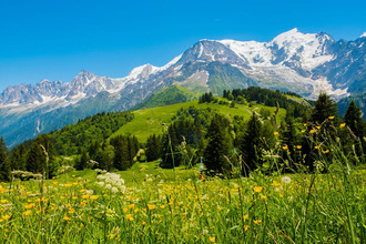 Vente Terrain 66480, LES CLUSES France