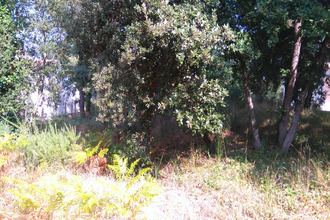 Ma-Cabane - Vente Terrain Les Mathes, 850 m²