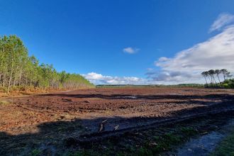 Vente Terrain 40260, Linxe France