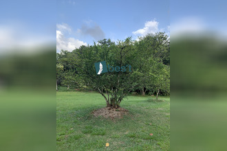 Ma-Cabane - Vente Terrain Matoury, 10000 m²