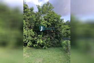 Ma-Cabane - Vente Terrain Matoury, 10000 m²