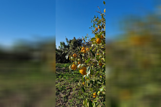 Ma-Cabane - Vente Terrain Mauguio, 741 m²