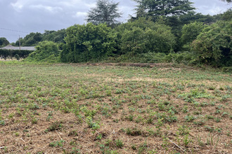 Ma-Cabane - Vente Terrain Mazerolles, 1000 m²