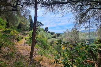 Ma-Cabane - Vente Terrain Menton, 8064 m²