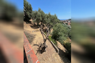 Ma-Cabane - Vente Terrain Menton, 6846 m²