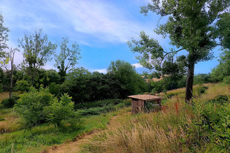 Ma-Cabane - Vente Terrain MIRANDOL-BOURGNOUNAC, 6238 m²