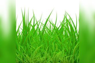 Vente Terrain 82000, MONTAUBAN France