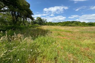 Ma-Cabane - Vente Terrain Montfort-en-Chalosse, 1714 m²