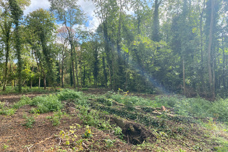 Vente Terrain 78490, MONTFORT-L'AMAURY France