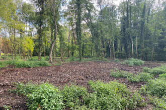 Ma-Cabane - Vente Terrain MONTFORT-L'AMAURY, 1613 m²