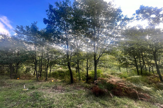 Vente Terrain 20239, Murato France