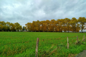 Ma-Cabane - Vente Terrain Nervieux, 1116 m²