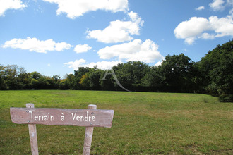Vente Terrain 49490, NOYANT France