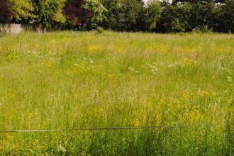 Ma-Cabane - Vente Terrain NOYELLES-SOUS-LENS, 4112 m²