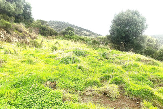 Vente Terrain 20147, Osani France