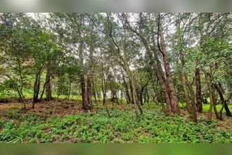 Ma-Cabane - Vente Terrain PALAJA, 2516 m²